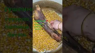 Очень полезная смесь для кишечника!А вы ели такое?Пиши комментарий👇