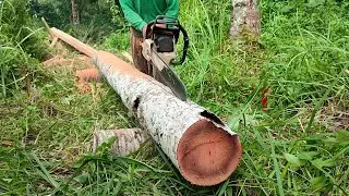 Process coconut wood to size 8 × 12 cm using a chainsaw
