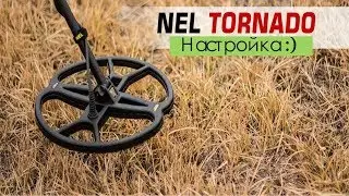 ( ( Nel Tornado )  factory settings Garrett ACE 250 Coil setup before the computer