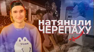 ХАЗЯЕВА И НАДУВНАЯ ЧЕРЕПАШКА I кореш,парадеевич,плохой парень
