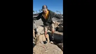 A dangerous little stroll down the jetty 