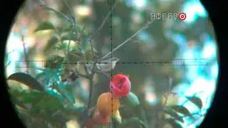 pcp Air rifle hunting Season 2021/2022