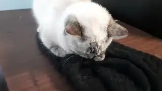 Нежимся на шерстяной одежде