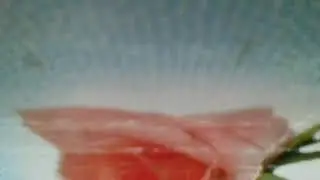 Частушки - Ах ты сено, моё сено, сено новое, мое, сено новое клеверовое свежескошенное(наброски)