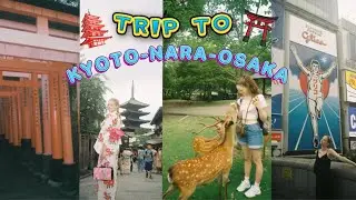 ОСКАКА/НАРА/КИОТО/НАШ ТРИП🚍⛩️МОДЕЛЬНЫЙ ВЛОГ