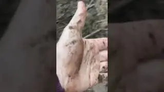 Chechen offroad