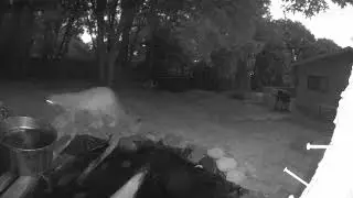 Mountain Lion Visits our water feature last night