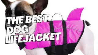 Best Dog Life Jacket - Ripstop Shark Life Vest Review | Safe & Stylish!