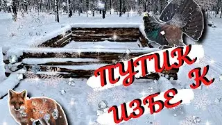 Путь к Избе. Сломался. Пешком домой.