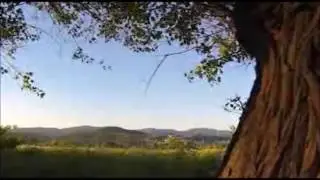DEANO SINGS HALLELUJAH.