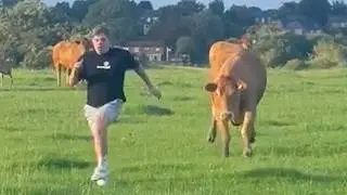 Idiots Of The Week! Hilarious Fails