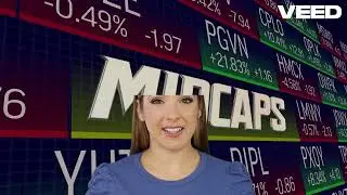 Top 5 Mutual Funds for 2024!