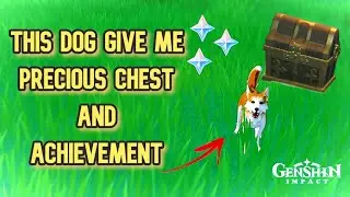 Dog give me precious chest | genshin impact inazuma dog | dog in cage in genshin impact