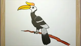 Cara menggambar burung rangkong