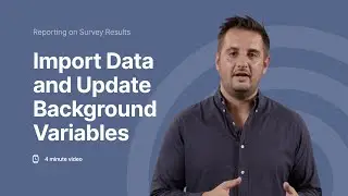 Master Data Import and Background Variable Updates in Enalyzer