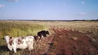 13 сентября 2021 г.