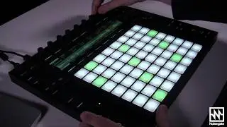 Ableton: Live 10 & Push 2 - Sampling Arrangement