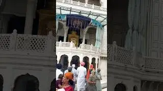 DARBAR SAHIB ME BHUT BHED HAI | #goldentempleji #youtubeshorts #viral #punjabi #veiws #yst #million
