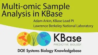 Multi-Omic Sample Analysis in KBase