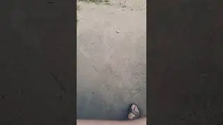 Тупо жизнь