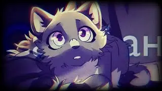 Коты Воители - Сарафан [Клип]