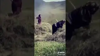 Дагестан 