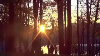 Autumn sunset. Beautiful relaxing music that brings tranquility. Music Vadim Mantsev (NikaDim).