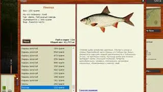 РУССКАЯ РЫБАЛКА 3 # дема . лягушачья заводь # 70
