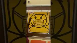 girl trying to bait pigs into wearing a mask