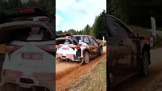 Ott Tänak 'The Champ' 🏁🇪🇪 | #082 #affirmation #inspiration #motivation #spiritual #OurSpirit