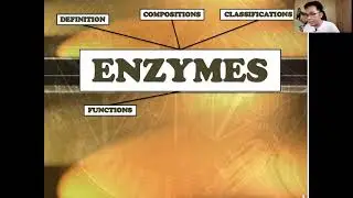 Introduction to Enzymes