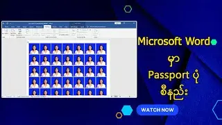 Microsoft Word မှာ Passport ပုံ စီနည်း