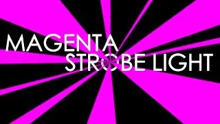 Magenta Strobe Light [1 HOUR] ⚠️ EPILEPSY WARNING