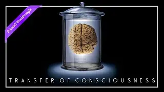Transcending Reality: The BIGGEST Leap in Human Evolution is Near!