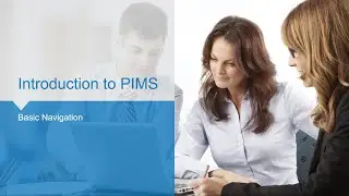 Aspen PIMS How-To 01 - Basic Navigation