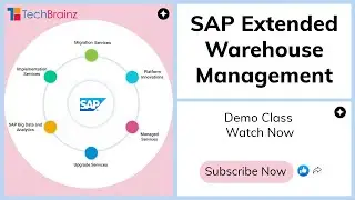 SAP EWM Demo By TechBrainz   Anup