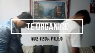 Te Bote Remix - Bad Bunny, Ozuna....... (VIDEO PARODIA) TE ORGANICÉ | Que Onda Primo