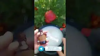Идеальная почва в пару действий #почва  #грядки #дача #огород #garden #садоводство #сад #природа