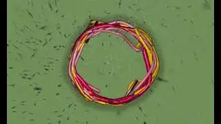 5 10 2021 3