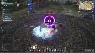 Throne and Liberty Butcher's Canyon Tank Full Run