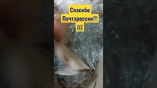 Пачтаааа России спасибо тебе, что думаешь о нас. Всё в хлам разбили((