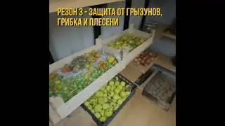 6 резонов установить пластиковый погреб на своем участке прямо сейчас