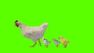 Cartoon Green Screen - Animals - Hen with Chicks and Egg 2D Animation Free Video copyright free