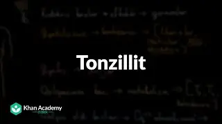 Tonzillit | Tomoq kasalliklari | Tibbiyot