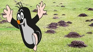 Как убить крота ГОЛОВОЙ ОТ СИЛЕДКИ!