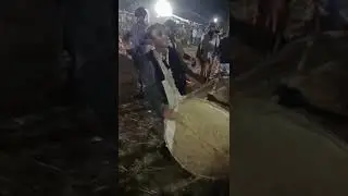 ઢોલ 2