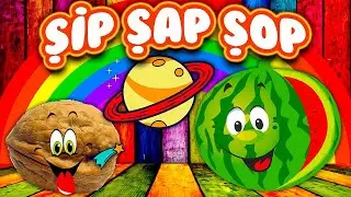 Ceviz Adam | Karpuz Adam | Patates Adam | Alkışla | Sevilen Bebek ve Çocuk Şarkıları | Tele Mini