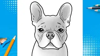How To Draw A Dog - French bulldog - Step by Step