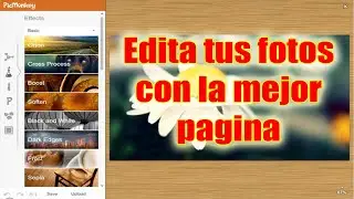 Pic Monkey - Edita Tus Fotos con la Mejor Pagina