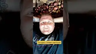 СБЫЛАСЬ МОЯ МЕЧТА! #shorts #юмор